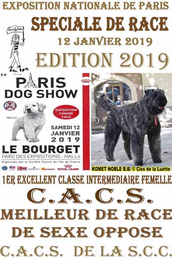 KOMET PARIS DOG SHOW 2019